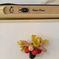 فریزر هفت کشور. مارک قندیل. ایرانی. بشرط سلامت|یخچال و فریزر|فردیس, قریشی|دیوار