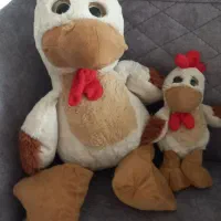 خروس پدر وپسر