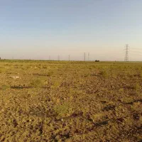 زمین کشاورزی|فروش دفتر صنعتی، کشاورزی، تجاری|نظرآباد, احمد آباد|دیوار