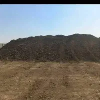 کود حیوانی|خدمات باغبانی و درختکاری|چهارباغ, |دیوار