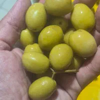 فروش عمده زیتون سوپر صادراتی|خوردنی و آشامیدنی|تهران, میدان میوه و تره‌بار مرکزی|دیوار