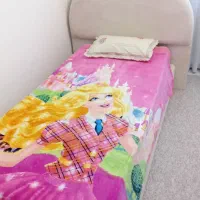 تخت تدی یک نفره