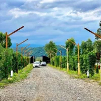 230متر-مجموعه-شهرکی-ویو-ابدی-جنگل-سند-تک-برگ