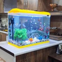 آکواریوم ساحل