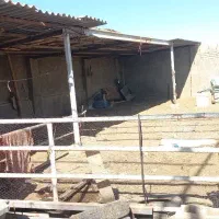 اجاره ی باربند. حبیب آباد|اجارهٔ دفتر صنعتی، کشاورزی، تجاری|حبیب آباد, |دیوار