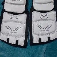 روپایی سنسور دار تکواندو