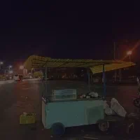 چرخه کاسبی خوشه یا میوه