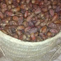 مجول|خوردنی و آشامیدنی|اهواز, شهرک توسعه نیشکر|دیوار