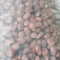 خرما خاصویی|خوردنی و آشامیدنی|گراش, |دیوار