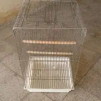 قفس عروس هلندی
