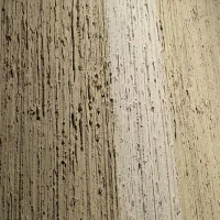 نیروی میکروسمنت کار