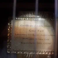 گیتار تین بادی پیکاپدار+آمپلی فایر|گیتار، بیس، امپلیفایر|بندر انزلی, پرستار|دیوار