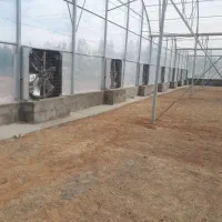 نیازمند سرمایه گذار در گلخانه هیدروپونیک مدرن