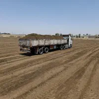 کود حیوانی گاوی خالص