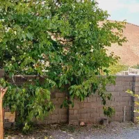 منزل ویلایی روستای مهرگرد|فروش خانه و ویلا|وردشت, |دیوار