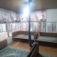 دورهمی باغ رستوران زیتون