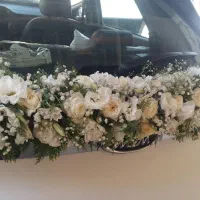 اجاره ماشین شاستی با تزیین ماشین عروس|گل و گیاه طبیعی|قم, نیروگاه|دیوار