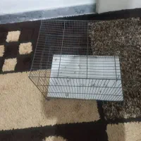 دوتا قفس