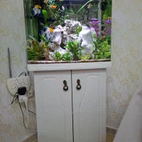 اکواریوم دلسا K500 همراه پایه