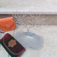 کیف کفش جای اکسسوری