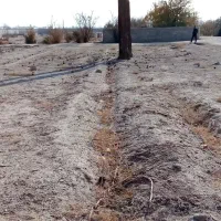 زمین-کشاورزی-یا-ساخت-باغ