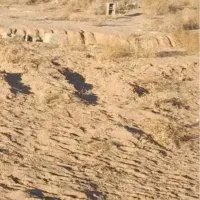 زمین مسکونی تنگ چنار