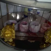 استند ،مجسمه استند|مجسمه، تندیس، ماکت|نظرآباد, نظرآباد|دیوار