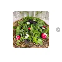 سبزی خوردن سفارش پاک کردن ، بدون شستن|خوردنی و آشامیدنی|تهران, دریان‌نو|دیوار