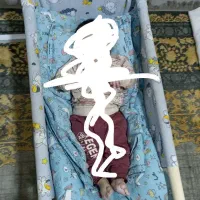 گهواره|تخت و صندلی بچه|گلبهار, شهر جدید گلبهار|دیوار