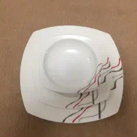 سرویس آرکوپال ۱۸ نفره