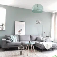 هم خانه/ همخانه