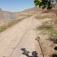 زمین روستای میم
