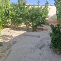 باغچه ۴۸۰ متری