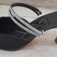 کفش مجلسی