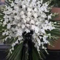 مداح مداحی . فارسی دشتی کردی