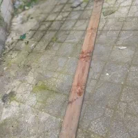یک متر کوب نراد دست دوم|حراج|رشت, انصاری|دیوار