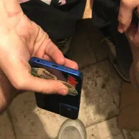 گوشی شیاموی TCL|موبایل|تهران, تهرانپارس غربی|دیوار