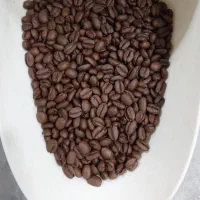 اتیوپی اسپشیالتی