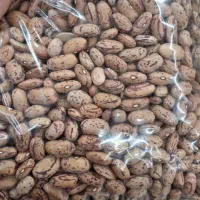 بزرگترین حراج سال باقرعه 20 گرم شمش طلا|حراج|خوی, |دیوار