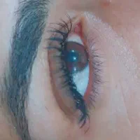 اکستیشن لیفت ابرو کاشت مژه باکم ترین قیمت ها|خدمات آرایشگری و زیبایی|لنجان, |دیوار