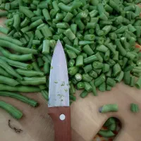 لوبیا سبز خرد شده تازه