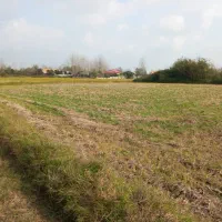 ۸۰۰۰هزارمتر زمین شالیزار