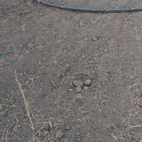 لوله ۶۳|ابزارآلات|خرمدره, |دیوار