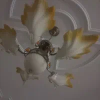 یک جفت لوستر ۵ شاخه