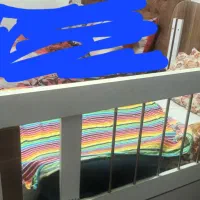 تخت کودک|تخت و صندلی بچه|سنندج, |دیوار