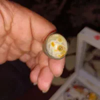 انگشترمصور|کلکسیون اشیاء عتیقه|قم, قم نو|دیوار