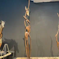 غزال یک متری چوب راش