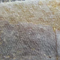 عسل طبیعی تبریز