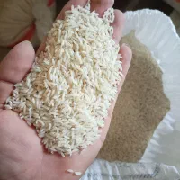 برنج طارم دمسیاه