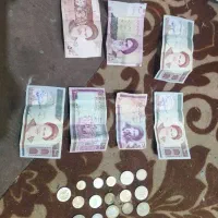 تعدادی سکه و اسکناس قدیمی